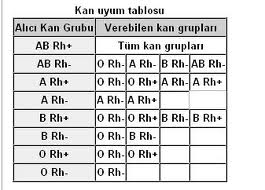 kan gruplari-50.jpg